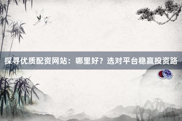 探寻优质配资网站：哪里好？选对平台稳赢投资路