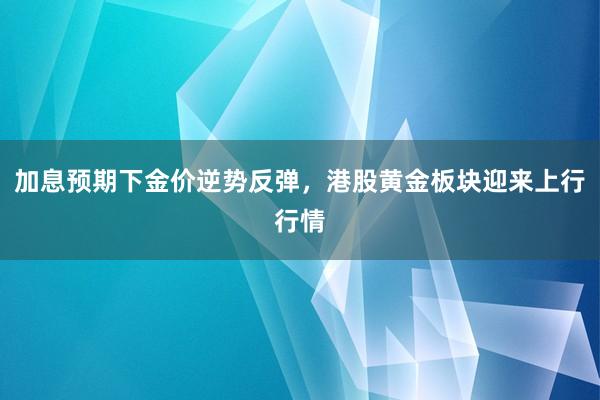 加息预期下金价逆势反弹，港股黄金板块迎来上行行情