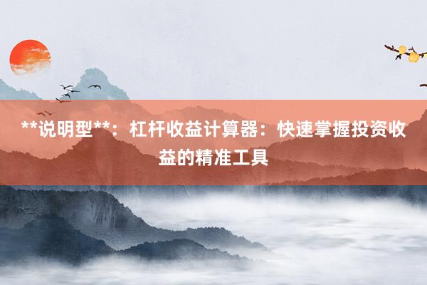 **说明型**：杠杆收益计算器：快速掌握投资收益的精准工具